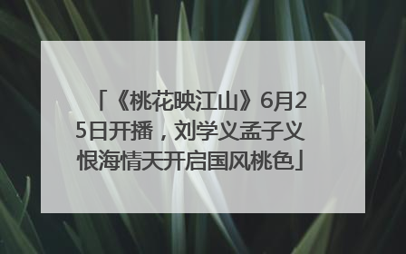 《桃花映江山》6月25日开播，刘学义孟子义恨海情天开启国风桃色