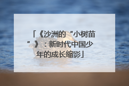 《沙洲的“小树苗”》：新时代中国少年的成长缩影