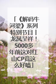 《解码牛河梁》系列特别节目丨龙凤呈祥！5000多年前这对红山CP竟这么好嗑