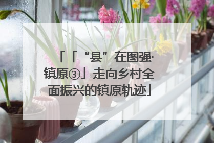 「“县”在图强·镇原③」走向乡村全面振兴的镇原轨迹