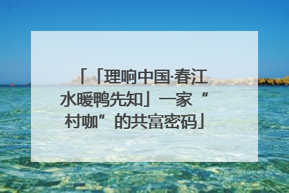 「理响中国·春江水暖鸭先知」一家“村咖”的共富密码