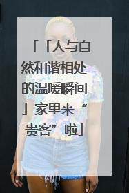 「人与自然和谐相处的温暖瞬间」家里来“贵客”啦