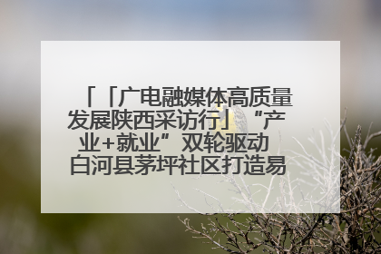 「广电融媒体高质量发展陕西采访行」“产业+就业”双轮驱动 白河县茅坪社区打造易地搬迁后扶新样本