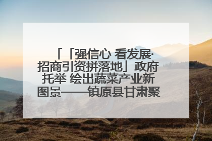 「强信心 看发展·招商引资拼落地」政府托举 绘出蔬菜产业新图景——镇原县甘肃聚广利现代设施蔬菜种植基地见闻