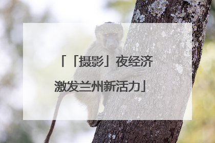 「摄影」夜经济激发兰州新活力