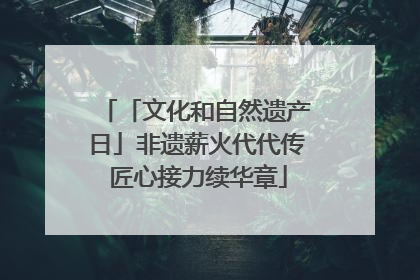 「文化和自然遗产日」非遗薪火代代传 匠心接力续华章