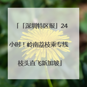 「深圳特区报」24小时！岭南荔枝乘专线 枝头直飞新加坡