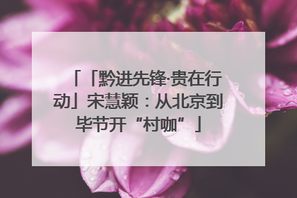 「黔进先锋·贵在行动」宋慧颖：从北京到毕节开“村咖”
