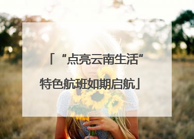 “点亮云南生活”特色航班如期启航