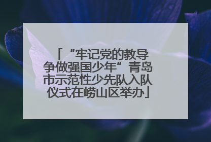 “牢记党的教导 争做强国少年”青岛市示范性少先队入队仪式在崂山区举办