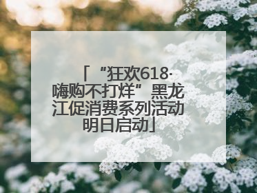 “狂欢618·嗨购不打烊”黑龙江促消费系列活动明日启动