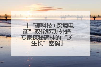 “硬科技+跨境电商”双轮驱动 外籍专家探秘碑林的“逆生长”密码