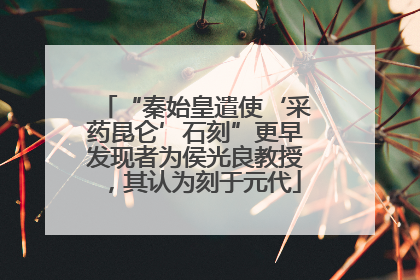 “秦始皇遣使‘采药昆仑’石刻”更早发现者为侯光良教授，其认为刻于元代