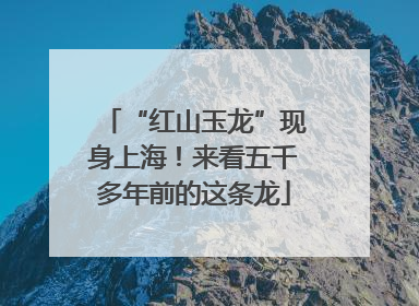 “红山玉龙”现身上海！来看五千多年前的这条龙