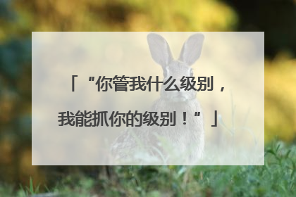 “你管我什么级别，我能抓你的级别！”