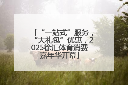 “一站式”服务，“大礼包”优惠，2025徐汇体育消费嘉年华开幕