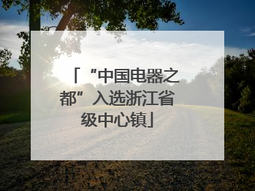 “中国电器之都”入选浙江省级中心镇