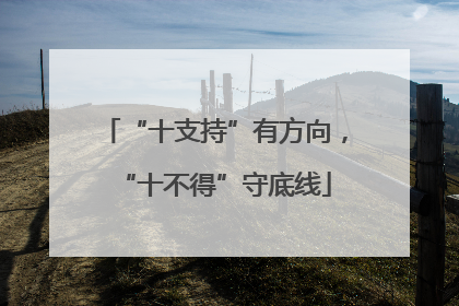 “十支持”有方向，“十不得”守底线