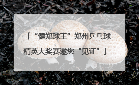 “健郑球王”郑州乒乓球精英大奖赛邀您“见证”
