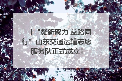 “凝新聚力 益路同行”山东交通运输志愿服务队正式成立