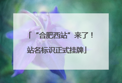 “合肥西站”来了！站名标识正式挂牌