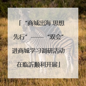 “商城出海 思想先行”——“双会”进商城学习调研活动在临沂顺利开展