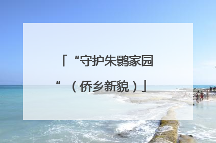 “守护朱鹮家园”（侨乡新貌）