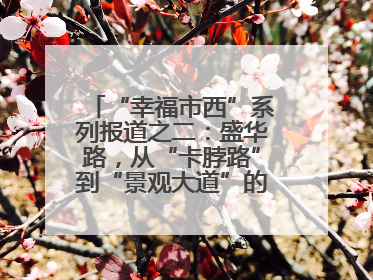 “幸福市西”系列报道之二：盛华路，从“卡脖路”到“景观大道”的华丽转身