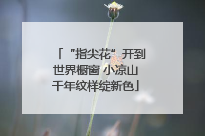 “指尖花”开到世界橱窗 小凉山千年纹样绽新色