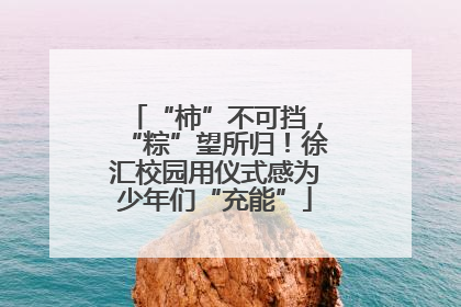 “柿”不可挡，“粽”望所归！徐汇校园用仪式感为少年们“充能”