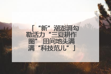 “新”潮澎湃勾勒活力“三夏耕作图” 田间地头满满“科技范儿”