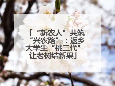 “新农人”共筑“兴农路”：返乡大学生“桃三代”让老树结新果