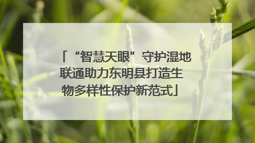 “智慧天眼”守护湿地 联通助力东明县打造生物多样性保护新范式