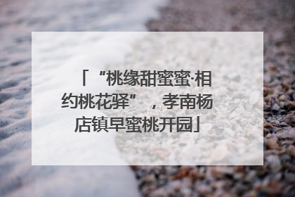 “桃缘甜蜜蜜·相约桃花驿”，孝南杨店镇早蜜桃开园