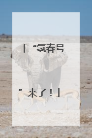 “氢春号”来了！