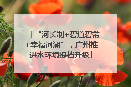 “河长制+碧道碧带+幸福河湖”，广州推进水环境提档升级