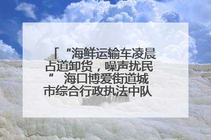 “海鲜运输车凌晨占道卸货，噪声扰民” 海口博爱街道城市综合行政执法中队：将联合交警加强长堤路一带巡逻