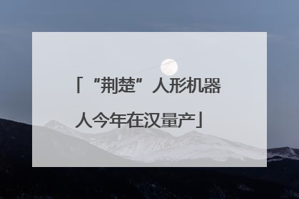 “荆楚”人形机器人今年在汉量产