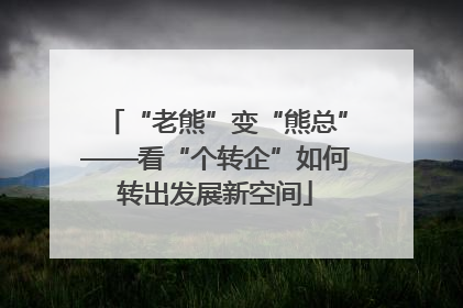 “老熊”变“熊总”——看“个转企”如何转出发展新空间
