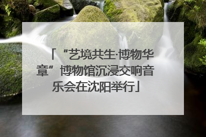 “艺境共生·博物华章”博物馆沉浸交响音乐会在沈阳举行