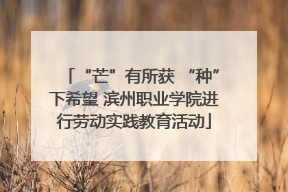 “芒”有所获 “种”下希望 滨州职业学院进行劳动实践教育活动