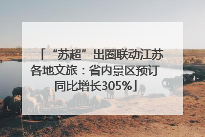 “苏超”出圈联动江苏各地文旅：省内景区预订同比增长305%