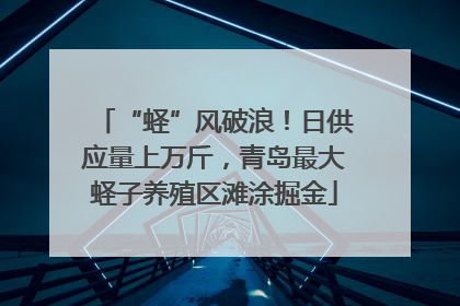 “蛏”风破浪！日供应量上万斤，青岛最大蛏子养殖区滩涂掘金