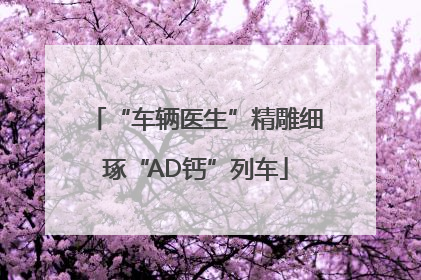 “车辆医生”精雕细琢“AD钙”列车