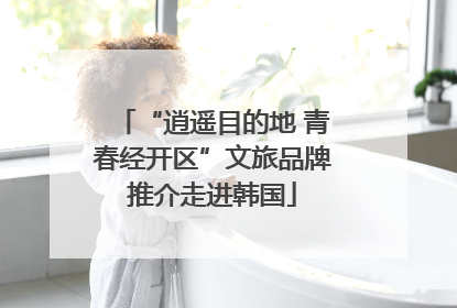 “逍遥目的地 青春经开区”文旅品牌推介走进韩国