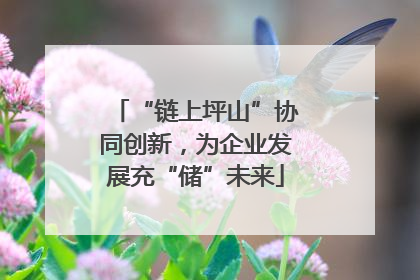 “链上坪山”协同创新，为企业发展充“储”未来