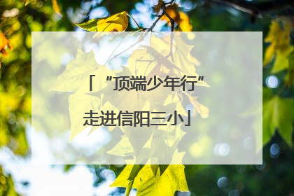 “顶端少年行”走进信阳三小