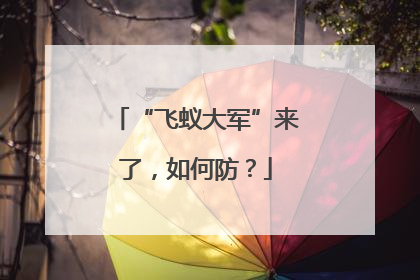 “飞蚁大军”来了，如何防？