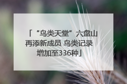 “鸟类天堂”六盘山再添新成员 鸟类记录增加至336种