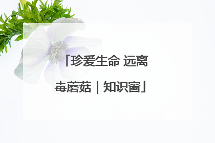珍爱生命 远离毒蘑菇｜知识窗